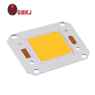 100w להעיף שבב COB LED לבן מגניב 6500k