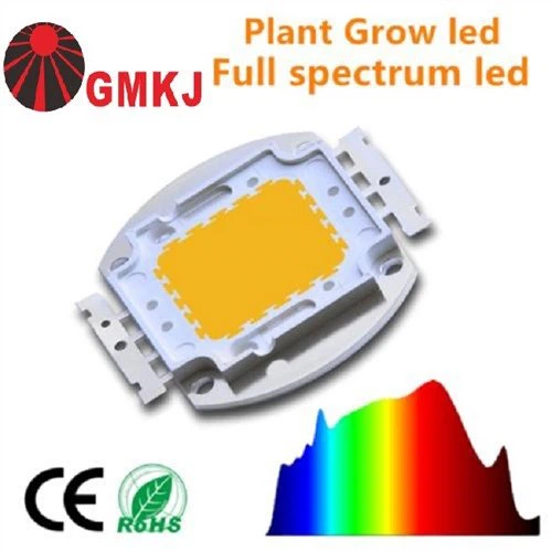 30W COB הוביל ספקטרום מלא עבור צמחים עסיסיים אור